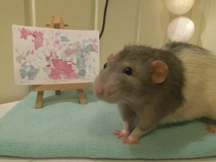‘Blessed Images’: 50 Times People Saw An Image So Pure, It Healed Their Soul A Bit