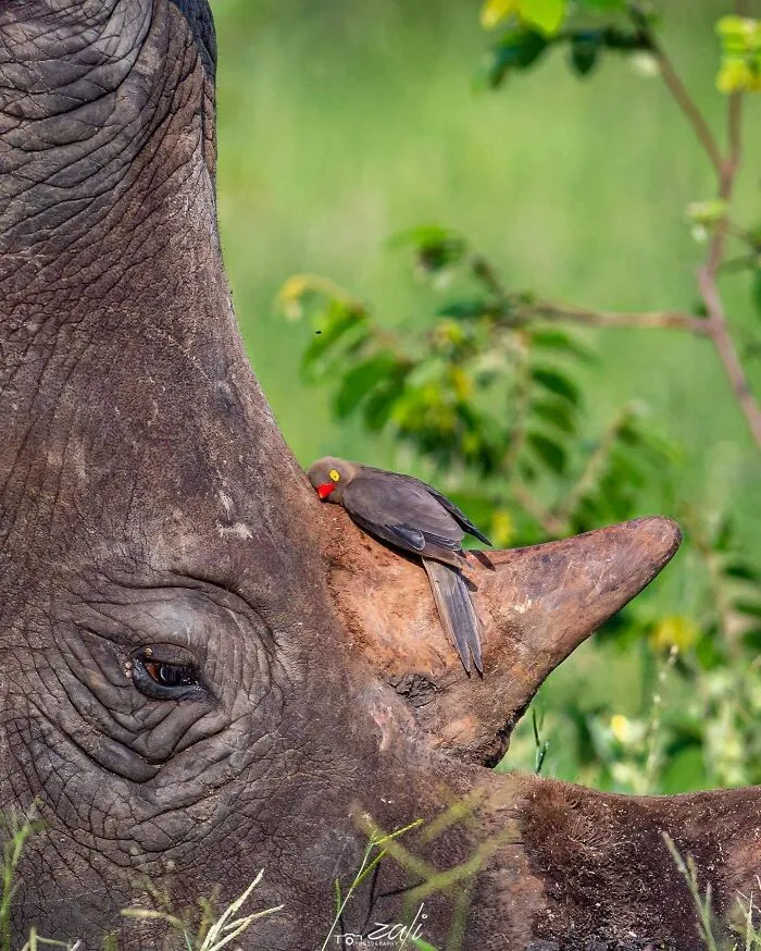 ‘Blessed Images’: 50 Times People Saw An Image So Pure, It Healed Their Soul A Bit