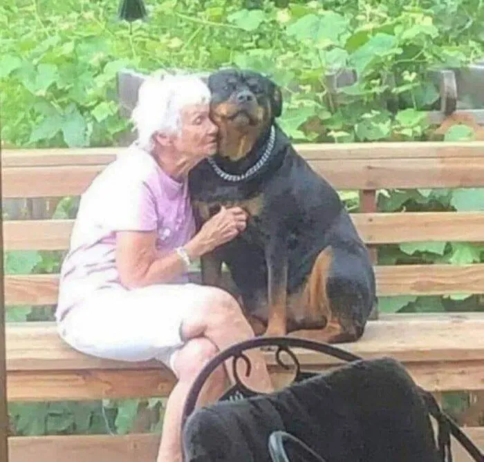 ‘Blessed Images’: 50 Times People Saw An Image So Pure, It Healed Their Soul A Bit
