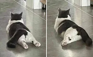 ‘Blessed Images’: 50 Times People Saw An Image So Pure, It Healed Their Soul A Bit