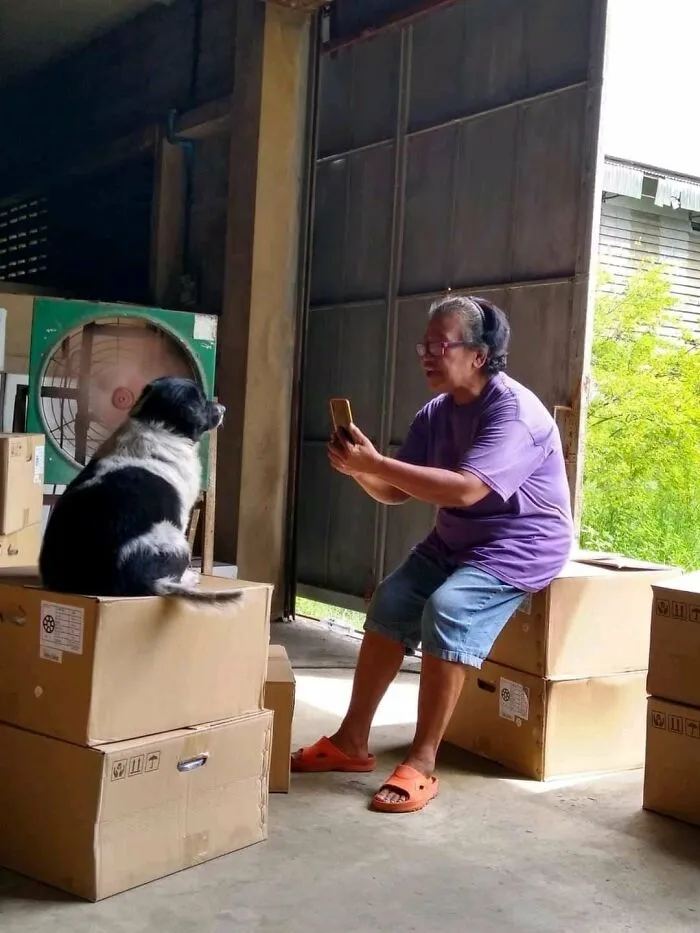 ‘Blessed Images’: 50 Times People Saw An Image So Pure, It Healed Their Soul A Bit