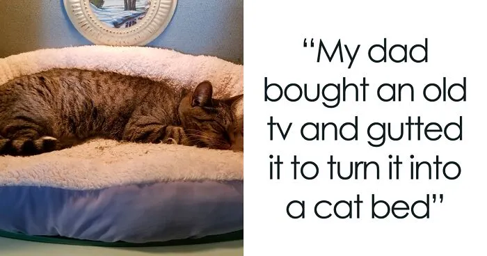 Dad Makes A Cat Bed For His Daughter's Feline From An Old TV, And It Hasn't Gone Unnoticed On The Socials