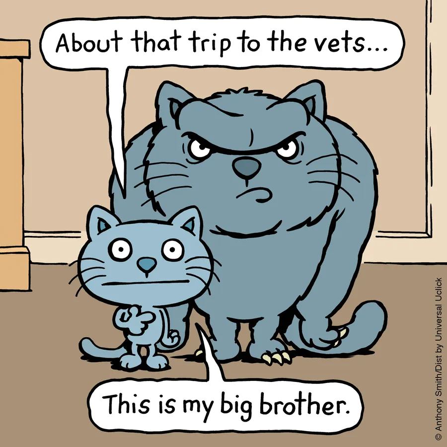 These One-Panel Cat Comics By Anthony Smith Purrfectly Capture What Having A Cat Is Like (40 Pics)