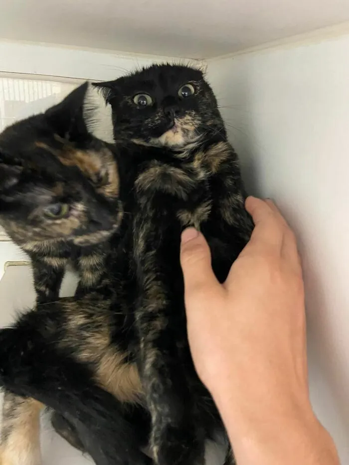 He Does Not Want To Be Touched