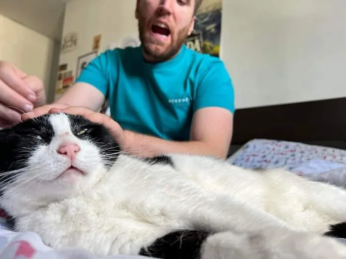 Man petting black and white cat 