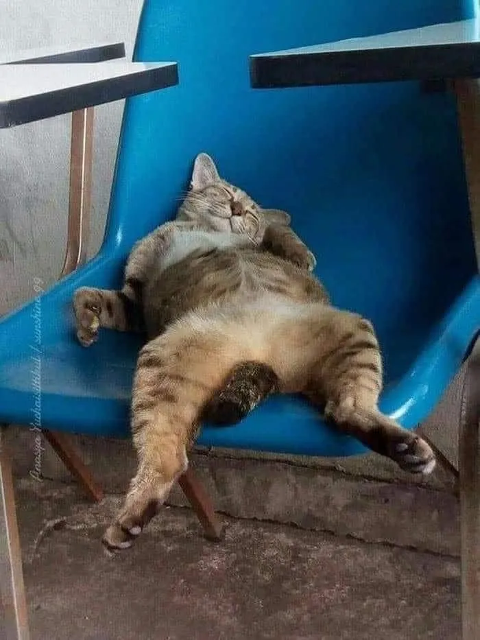 Saturday Sleep In Zzzzzzz Zzzzzzz
