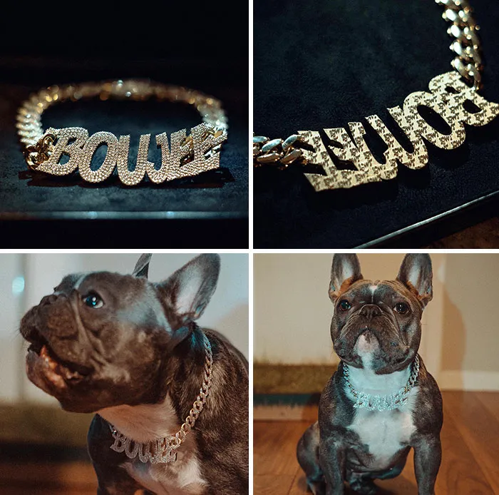 Juju Smith-Schuster Bought For His Own Dog Boujee A Full Of  Diamond Neckless