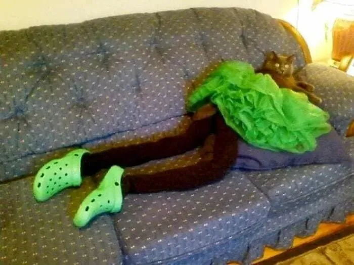 25 Funny Cats Wearing Tights