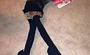 25 Funny Cats Wearing Tights