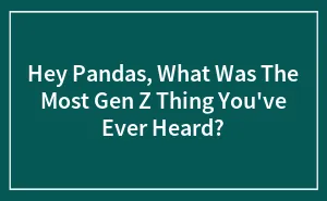 Hey Pandas, What Was The Most Gen Z Thing You've Ever Heard?