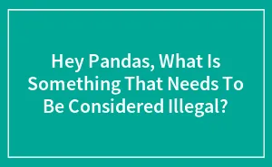 Hey Pandas, What Is Something That Needs To Be Considered Illegal? (Closed)