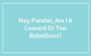 Hey Pandas, Am I A Coward Or Too Rebellious? (Closed)