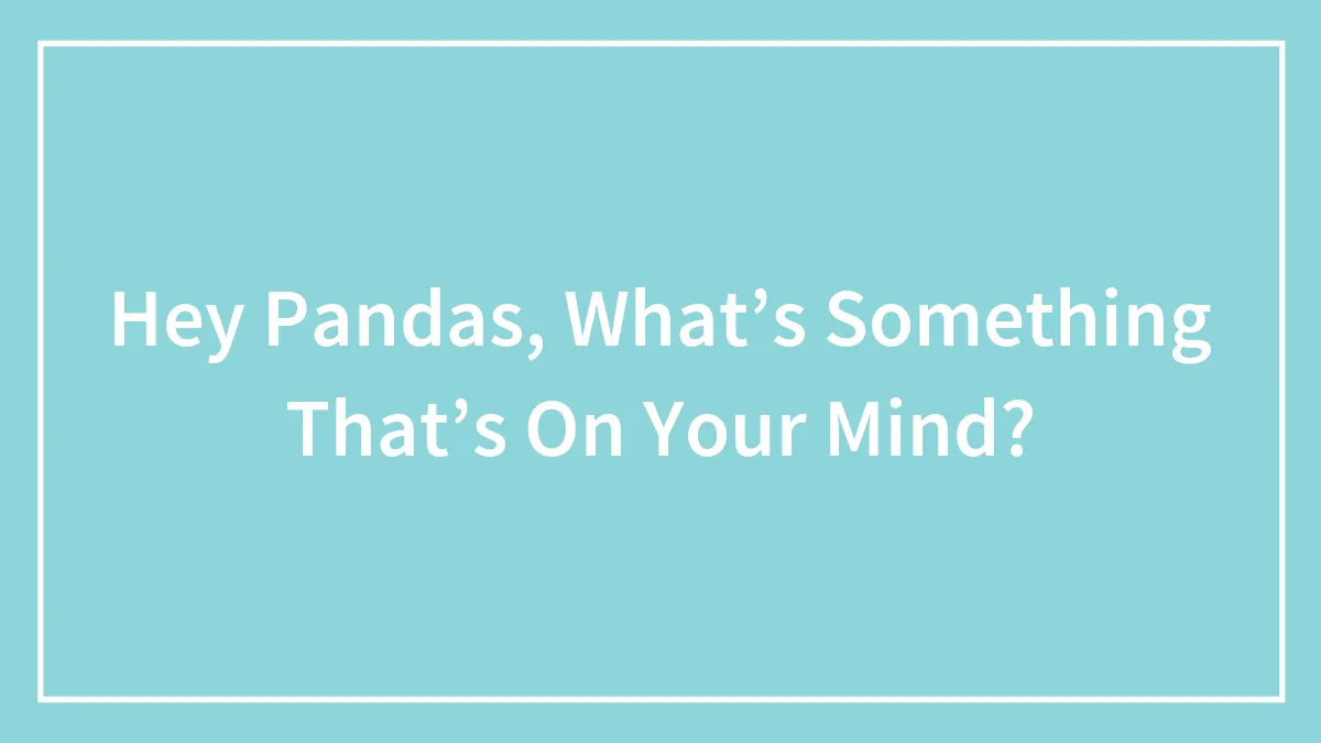 Hey Pandas, What’s Something That’s On Your Mind?