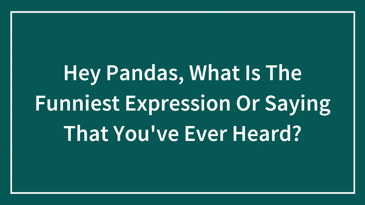 Hey Pandas, What Is The Funniest Expression Or Saying That You've Ever Heard? (Closed)