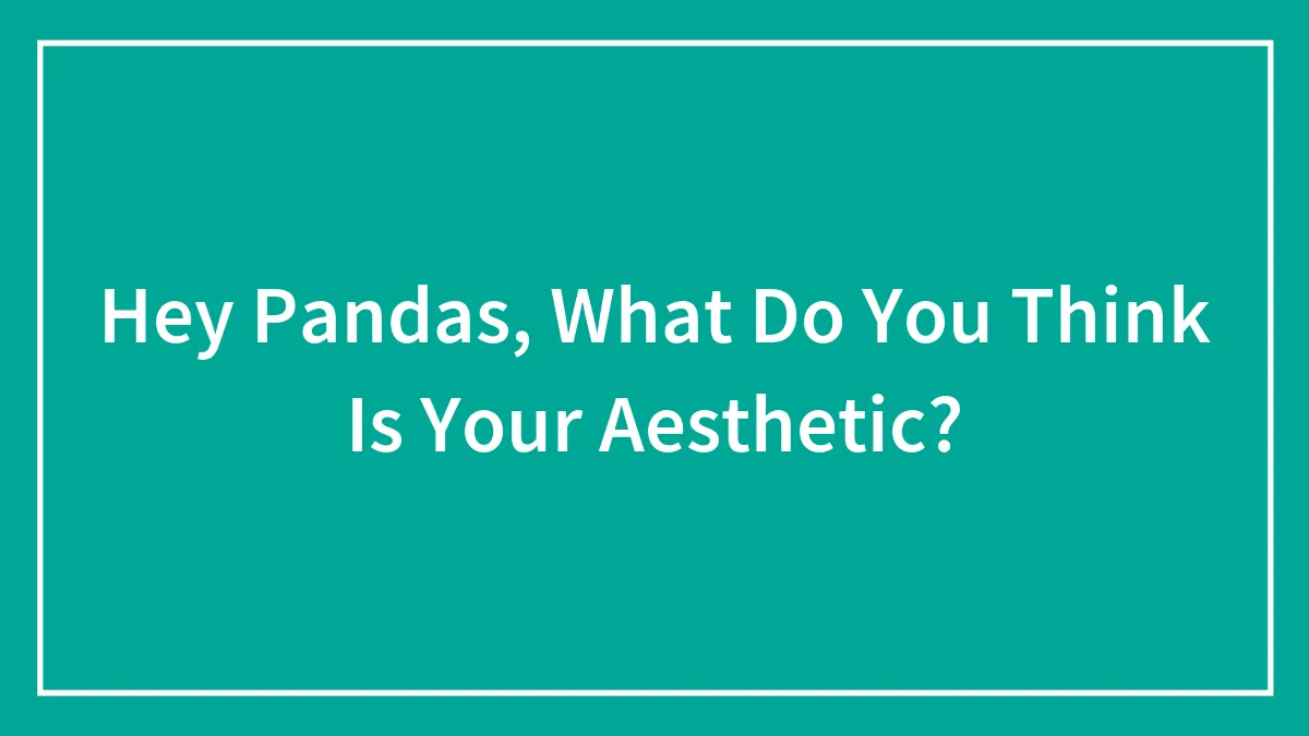 Hey Pandas, What Do You Think Is Your Aesthetic?