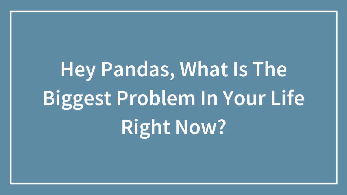 Hey Pandas, What Is The Biggest Problem In Your Life Right Now?