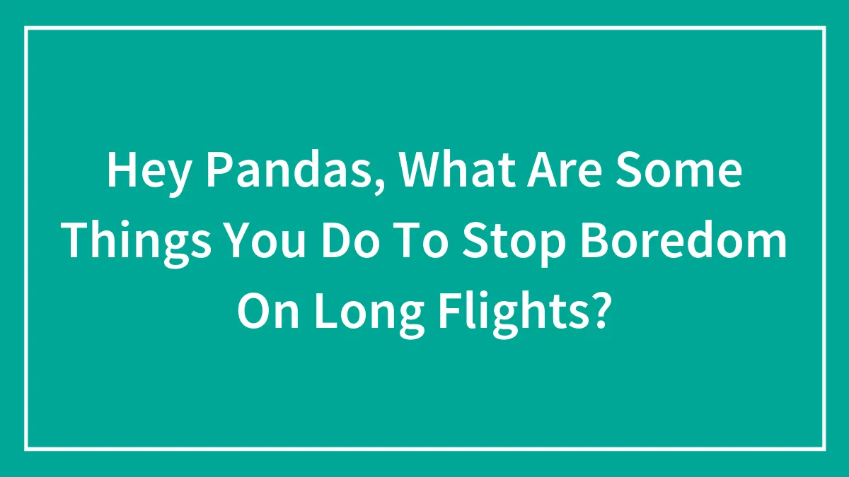 Hey Pandas, What Are Some Things You Do To Stop Boredom On Long Flights?