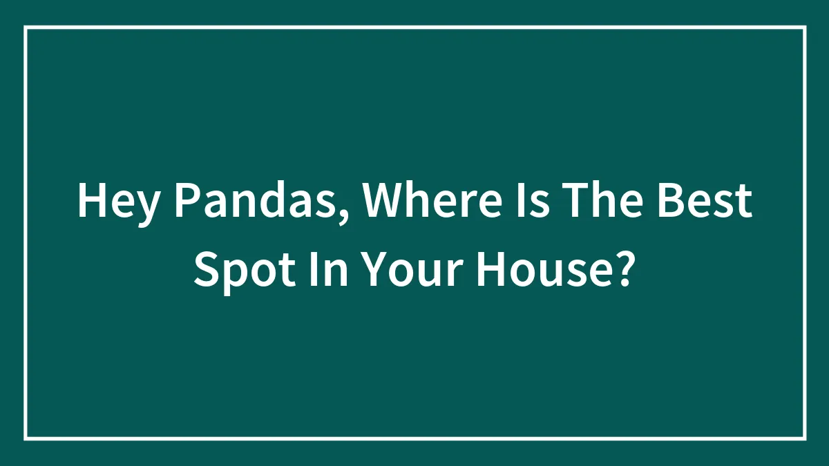 Hey Pandas, Where Is The Best Spot In Your House?