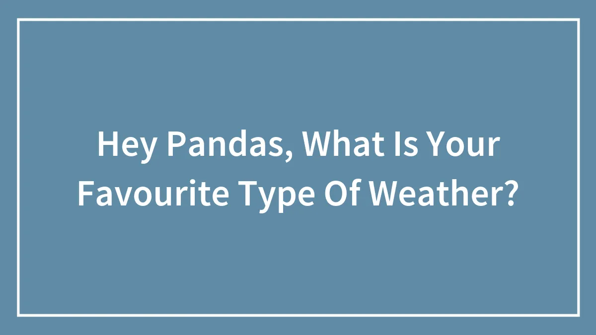 Hey Pandas, What Is Your Favourite Type Of Weather?