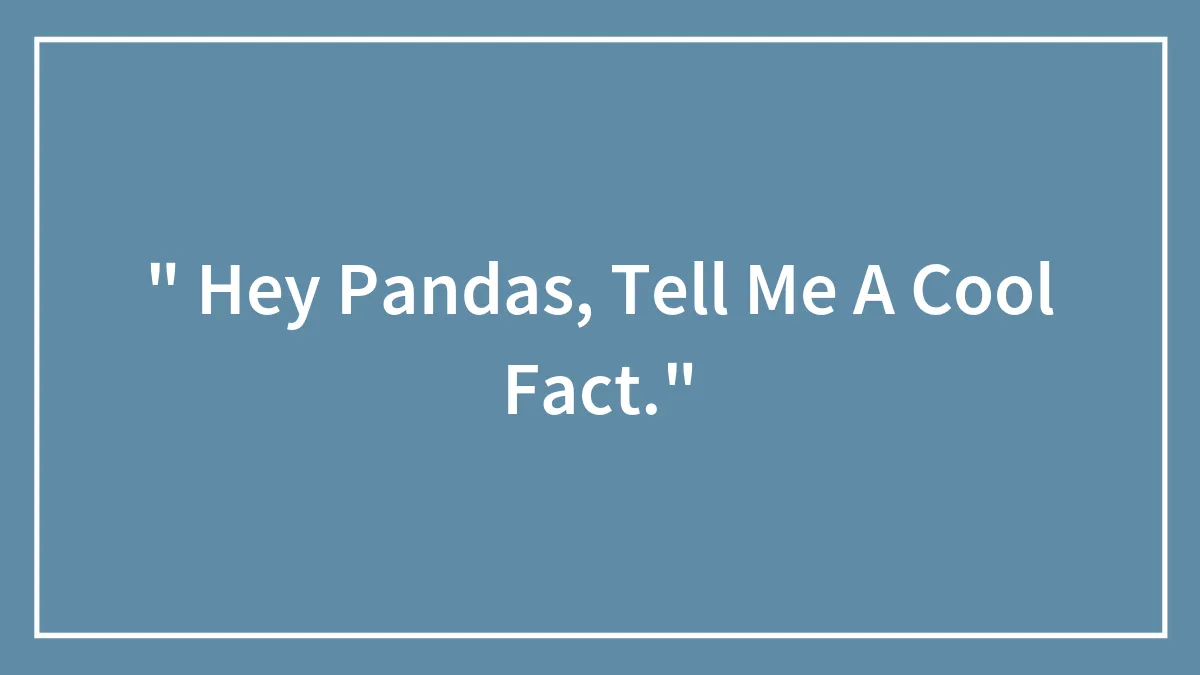 " Hey Pandas, Tell Me A Cool Fact." (Closed)