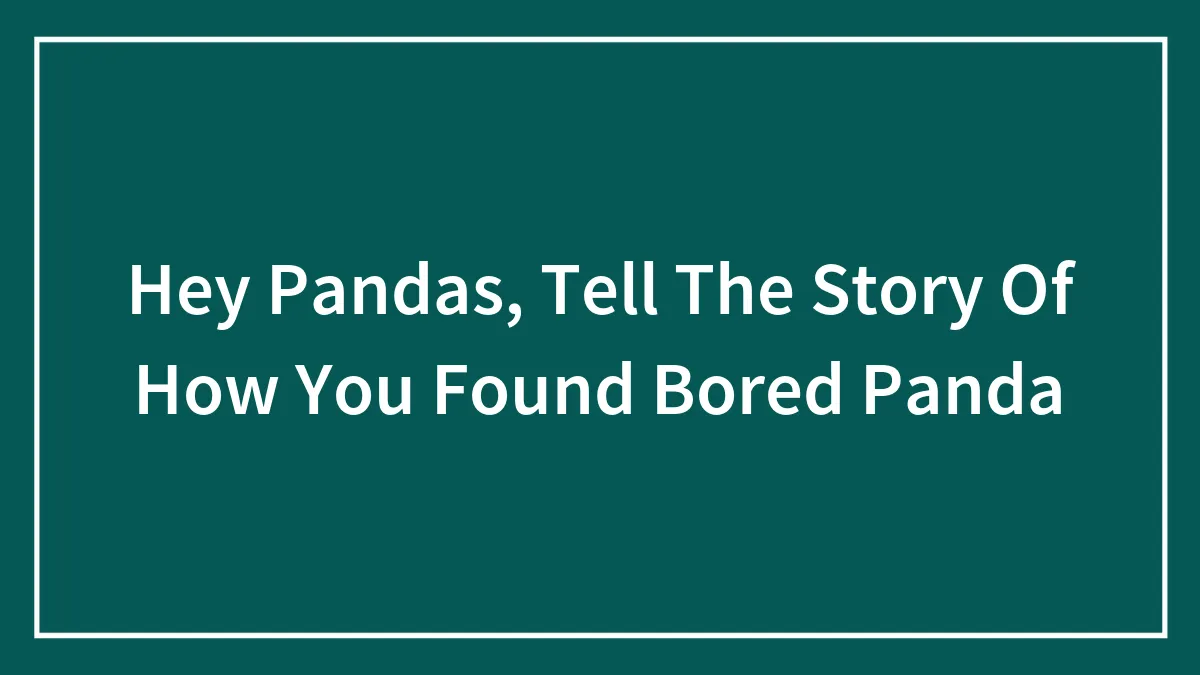 Hey Pandas, Tell The Story Of How You Found Bored Panda