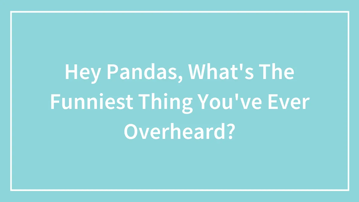 Hey Pandas, What's The Funniest Thing You've Ever Overheard? (Closed)