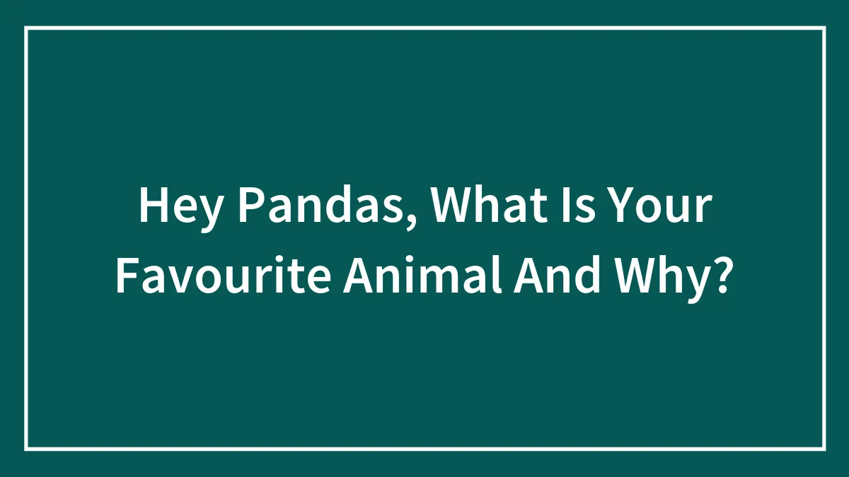 Hey Pandas, What Is Your Favourite Animal And Why?