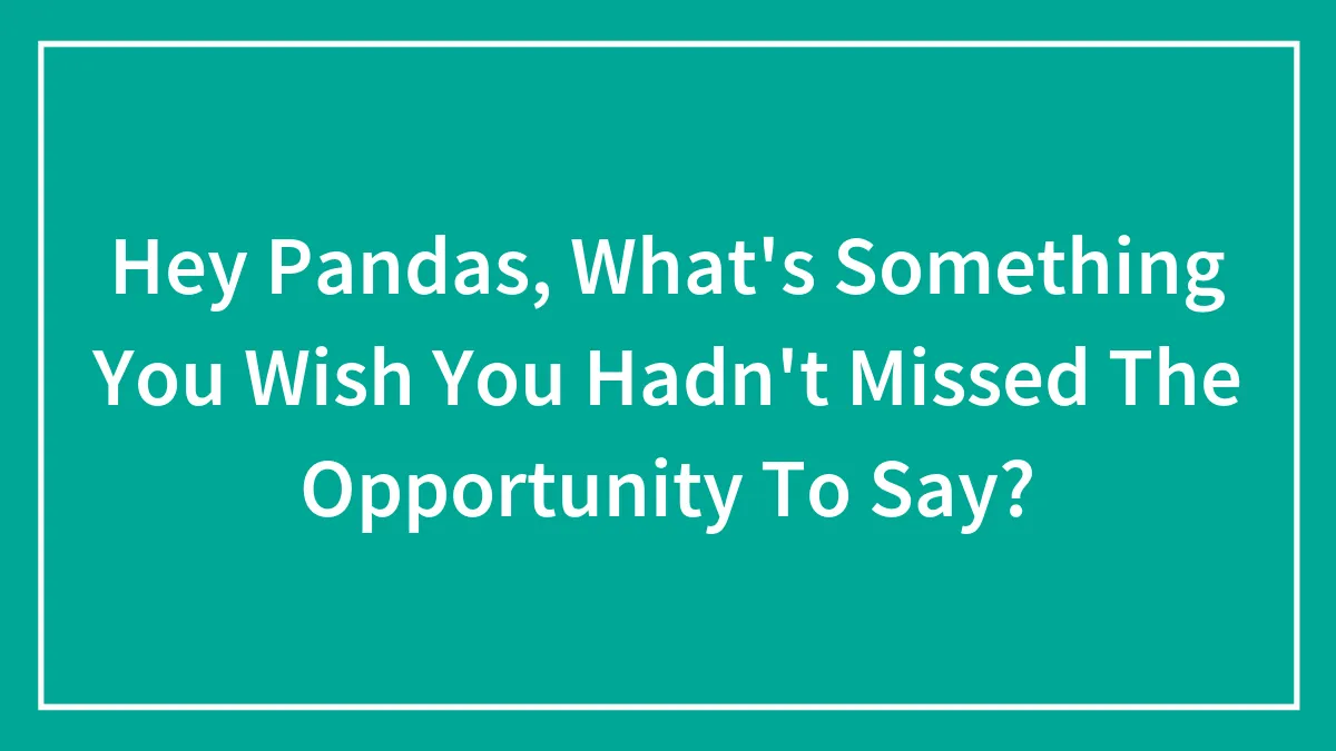 Hey Pandas, What's Something You Wish You Hadn't Missed The Opportunity To Say?