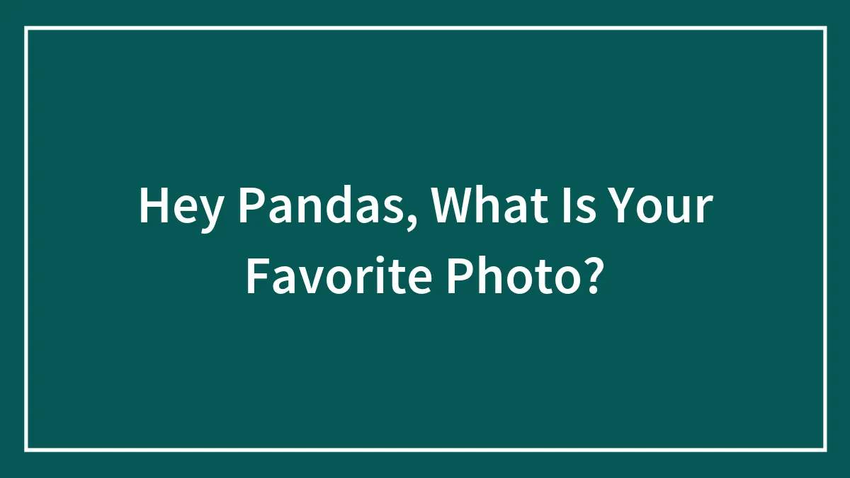 Hey Pandas, What Is Your Favorite Photo?