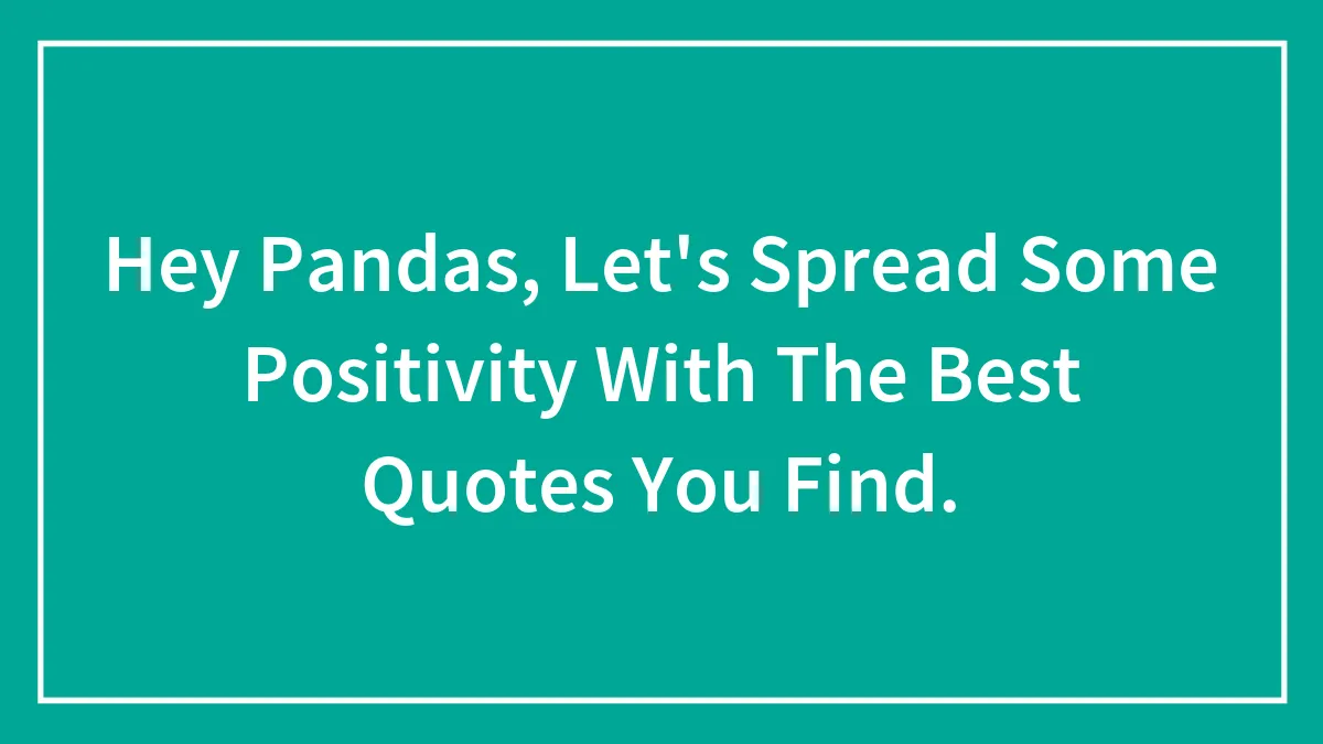 Hey Pandas, Let's Spread Some Positivity With The Best Quotes You Find.