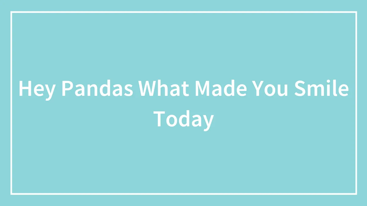 Hey Pandas What Made You Smile Today