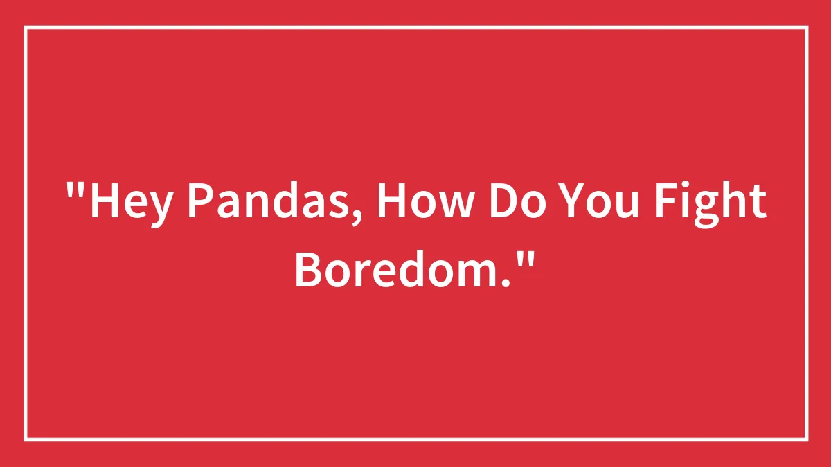 "Hey Pandas, How Do You Fight Boredom."