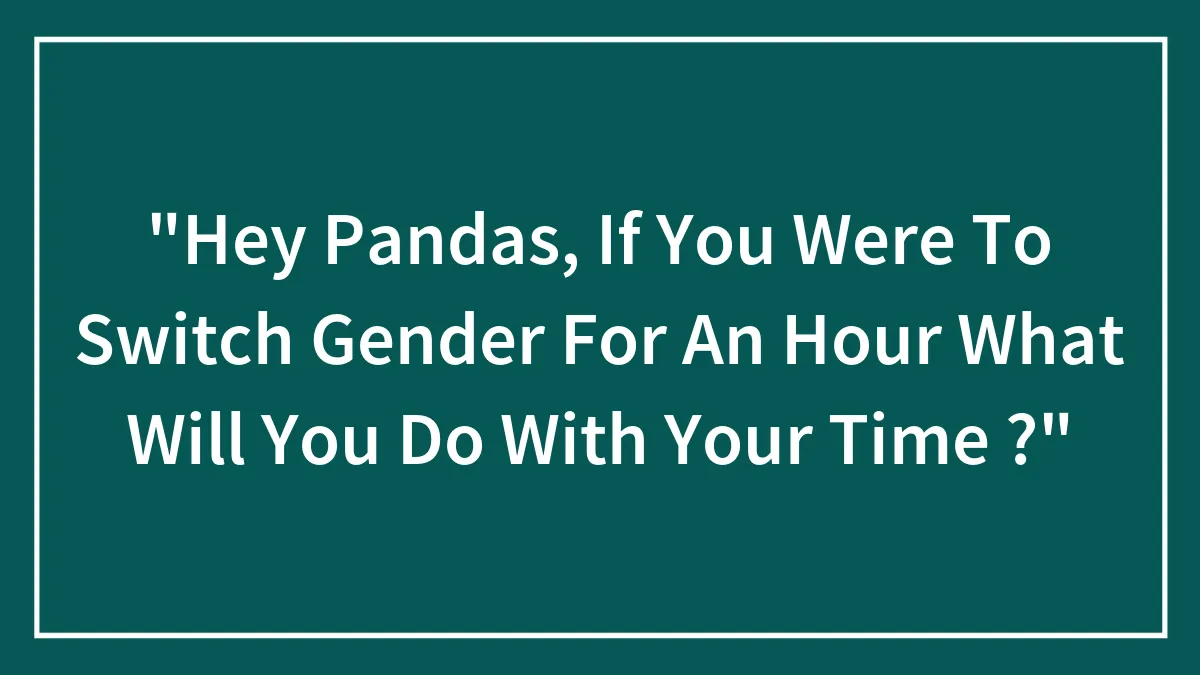"Hey Pandas, If You Were To Switch Gender For An Hour What Will You Do With Your Time ?"
