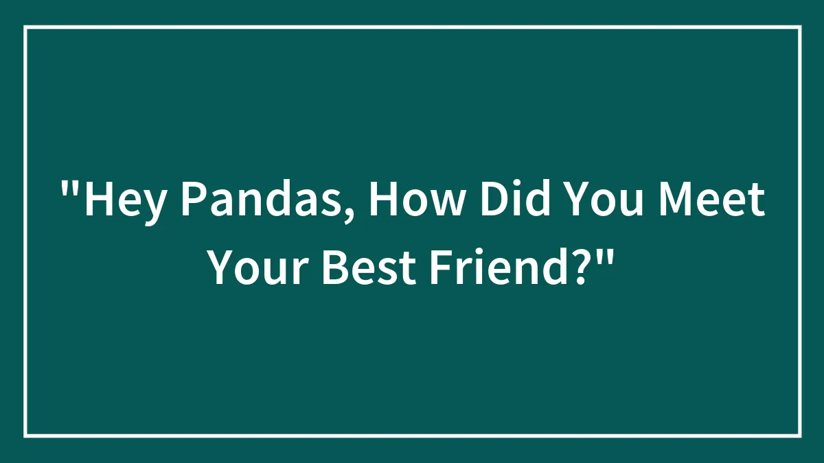 "Hey Pandas, How Did You Meet Your Best Friend?"