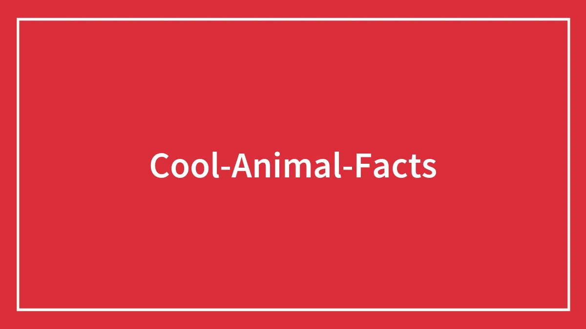 Cool Animal Facts They Don’t Teach You At School
