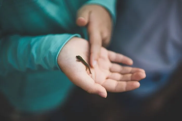 "Tell Us Something Weird A Kid Has Said To You That Made You Think About Life In A Different Way": 30 People Replied