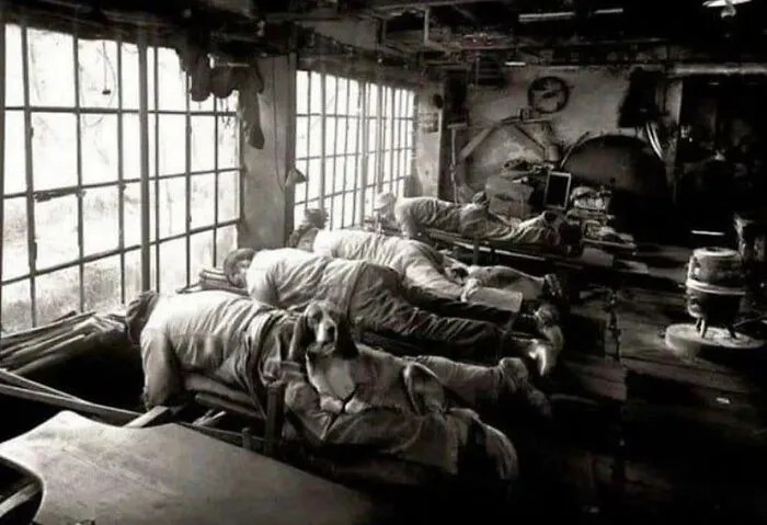 Knife Grinders In France 1902, They Worked Lying Down To Save Their Backs And Had Dogs Sit On Their Legs For Warmth