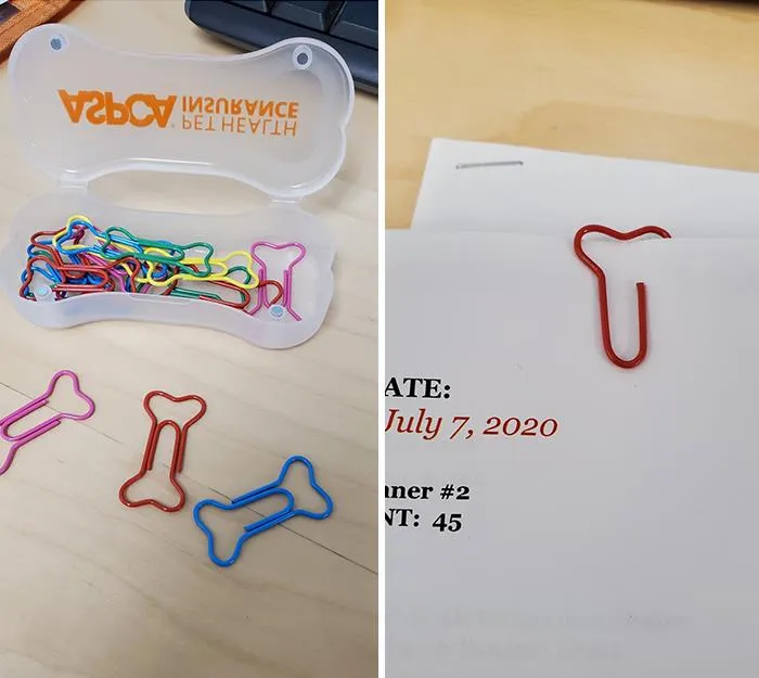 Misleading Paperclip