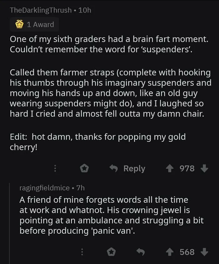 Reddit post about hilarious alternative names, like "farmer straps" for suspenders and "panic van" for ambulance.