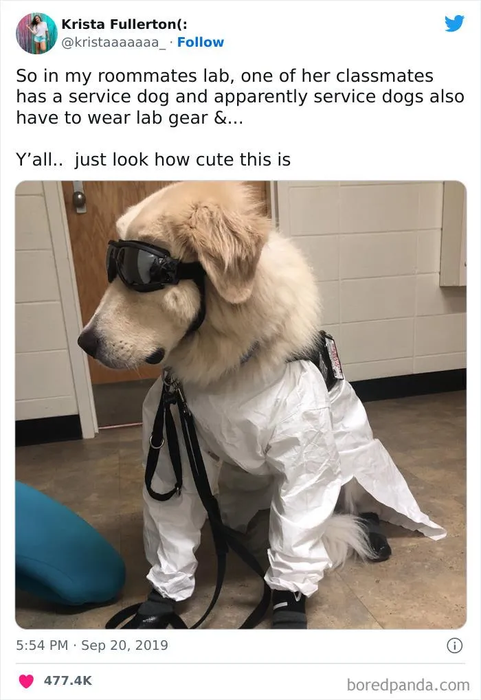 Lab Gear