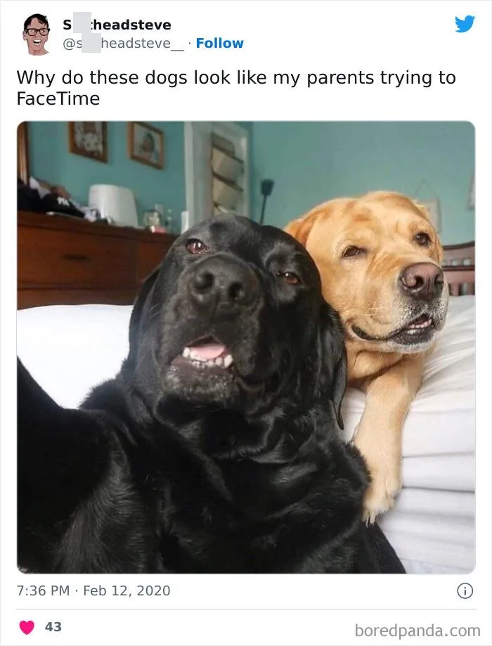 Lmao