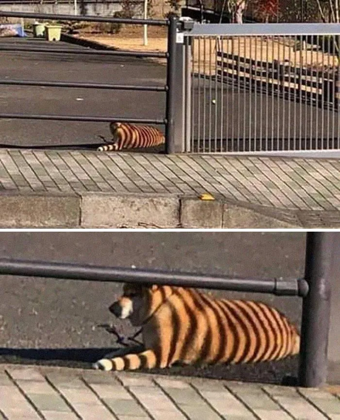I Almost Had A Heart Attack This Morning...