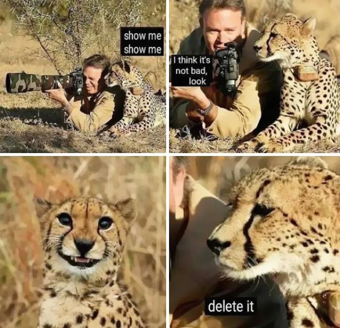 Hahahaha!
