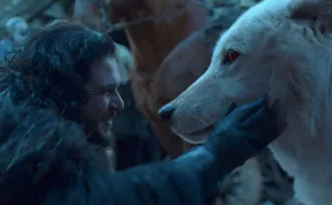 135 Unique and Cute Pet Names To Melt Your Heart