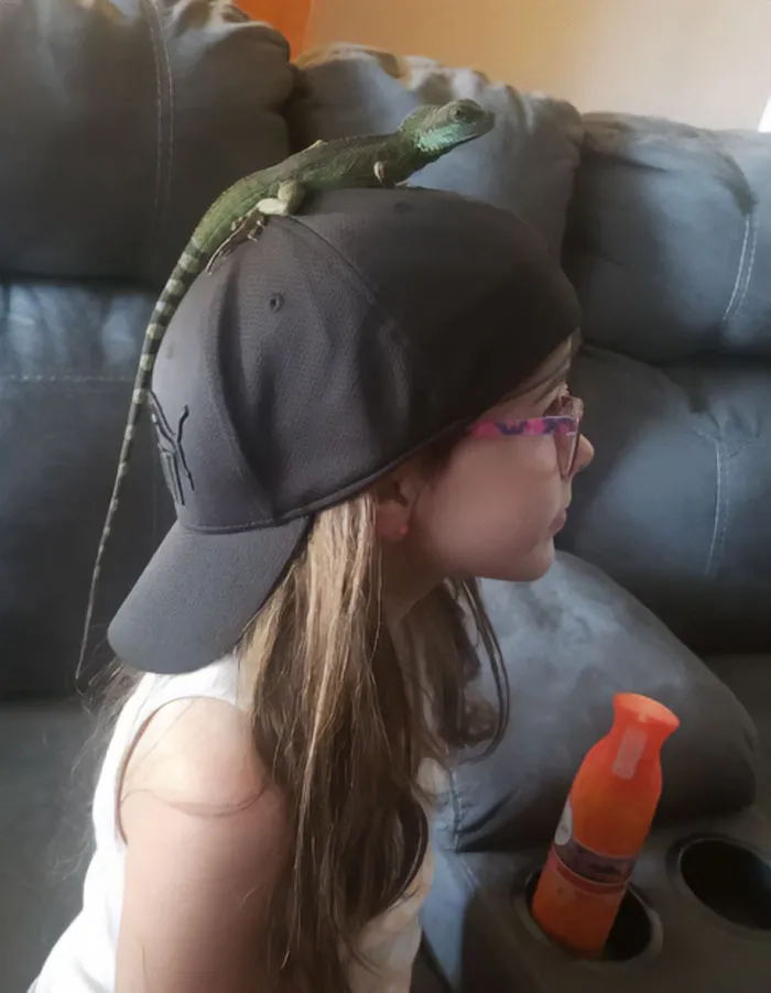 Trajimos al lagarto para que pasara menos tiempo frente a una pantalla