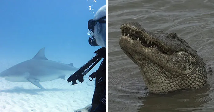 Divers Reveal 50 Disturbing Discoveries Underwater They Will Probably Never Be Able To Explain