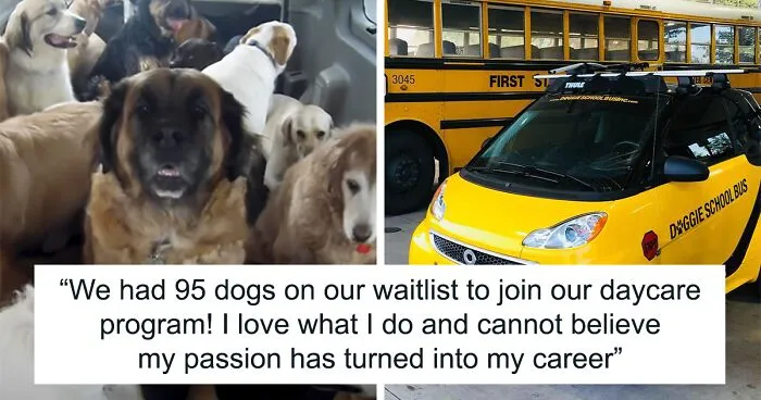 “My Dog Isn't Lonely At Home”: Adorable Doggy School Bus Picks Up Pups Every Day And Takes Them To Daycare