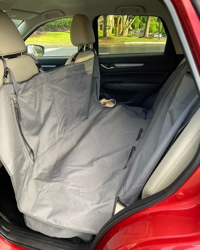 No estaba lista para salir del coche