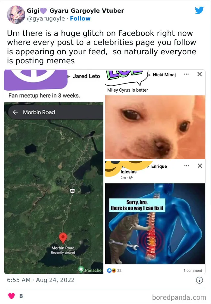 Newest Facebook Feed Glitch Has The Internet In Stitches (35 Reactions)