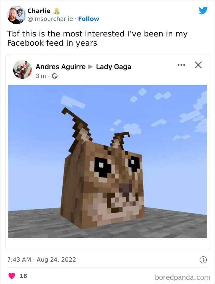 Newest Facebook Feed Glitch Has The Internet In Stitches (35 Reactions)